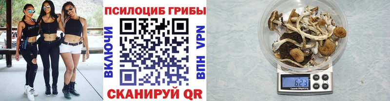 kraken ссылки  цена наркотик  Новоалександровск  Галлюциногенные грибы MAGIC MUSHROOMS 