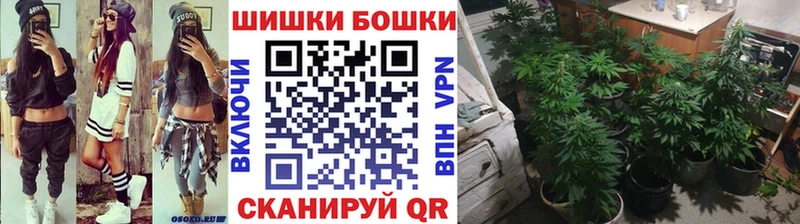 Бошки марихуана конопля  Новоалександровск 